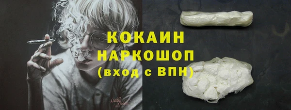 spice Новодвинск