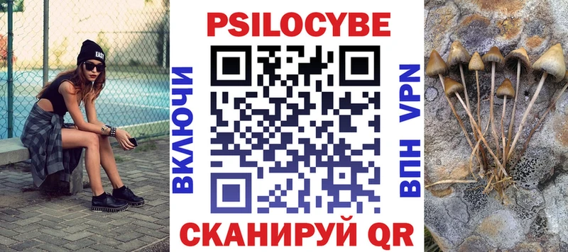 Псилоцибиновые грибы MAGIC MUSHROOMS Торжок