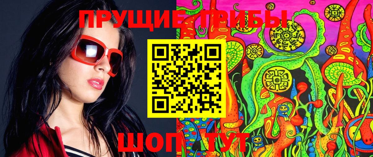 Торжок  Галлюциногенные грибы прущие грибы  Вход с VPN 