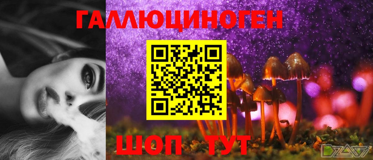 Псилоцибиновые грибы мухоморы  Торжок 