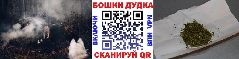 наркошоп  Торжок  Конопля сатива 